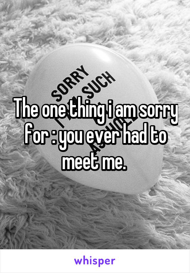 The one thing i am sorry for : you ever had to meet me. 