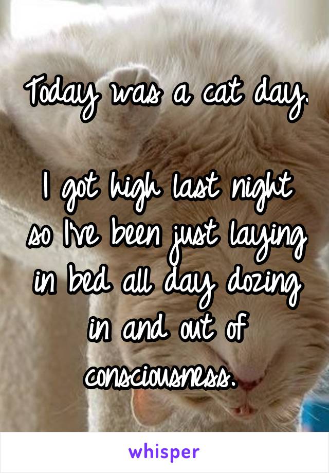 Today was a cat day. 
I got high last night so I've been just laying in bed all day dozing in and out of consciousness. 