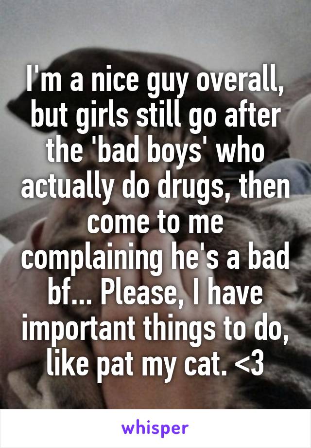 I'm a nice guy overall, but girls still go after the 'bad boys' who actually do drugs, then come to me complaining he's a bad bf... Please, I have important things to do, like pat my cat. <3