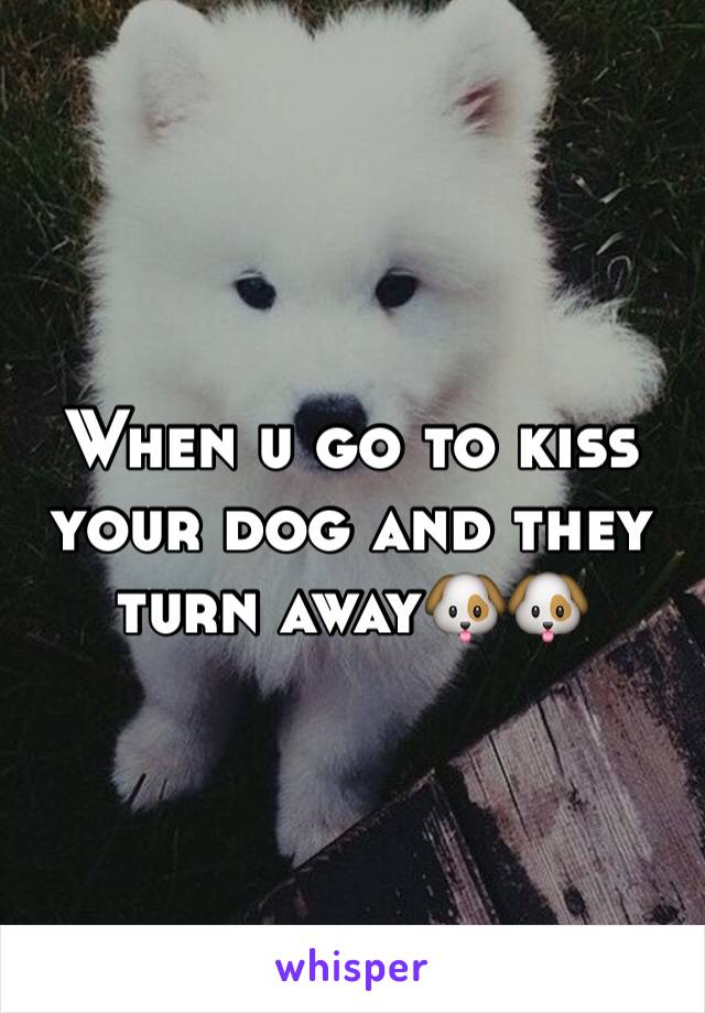 When u go to kiss your dog and they turn away🐶🐶