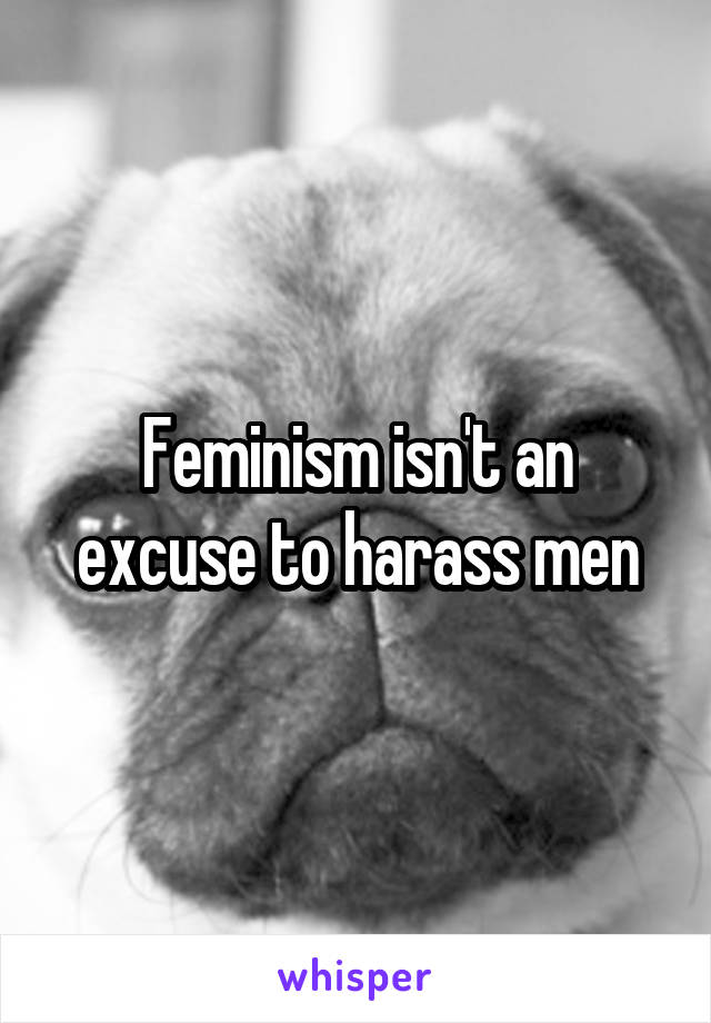 Feminism isn't an excuse to harass men