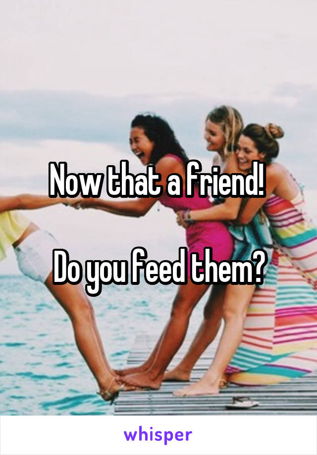 Now that a friend! 

Do you feed them?