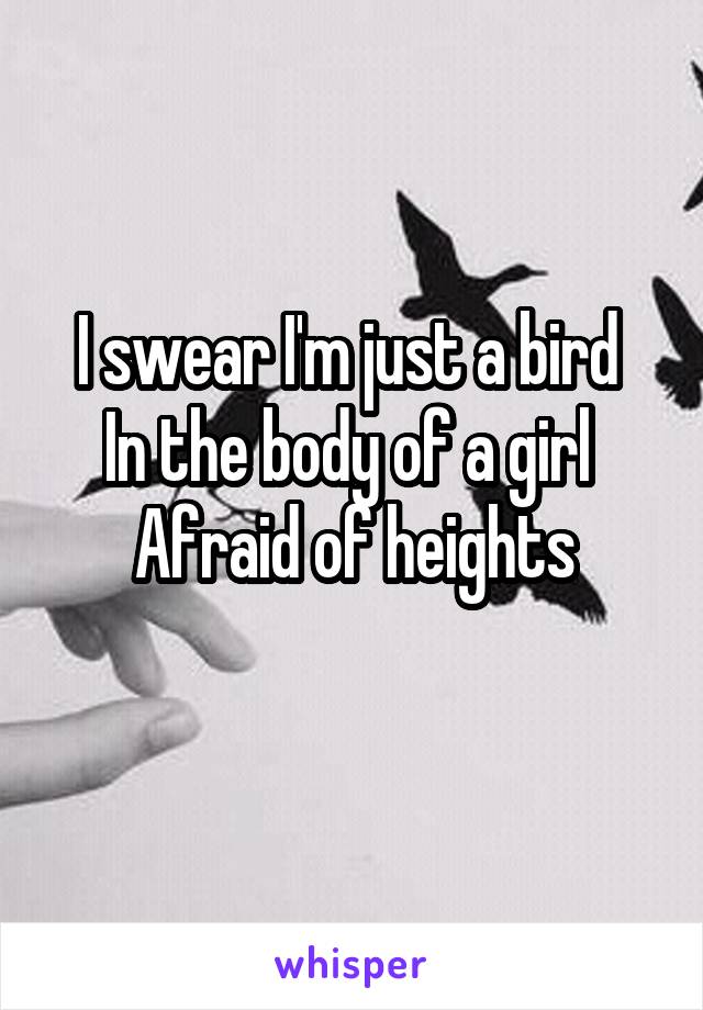 I swear I'm just a bird 
In the body of a girl 
Afraid of heights
