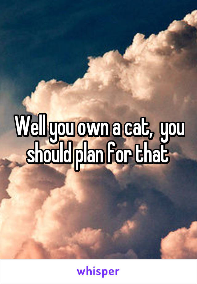 Well you own a cat,  you should plan for that 