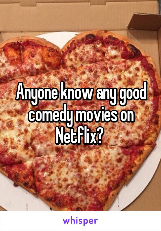 Anyone know any good comedy movies on Netflix? 