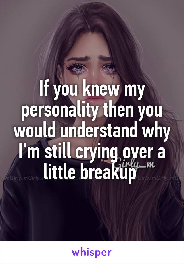 If you knew my personality then you would understand why I'm still crying over a little breakup 