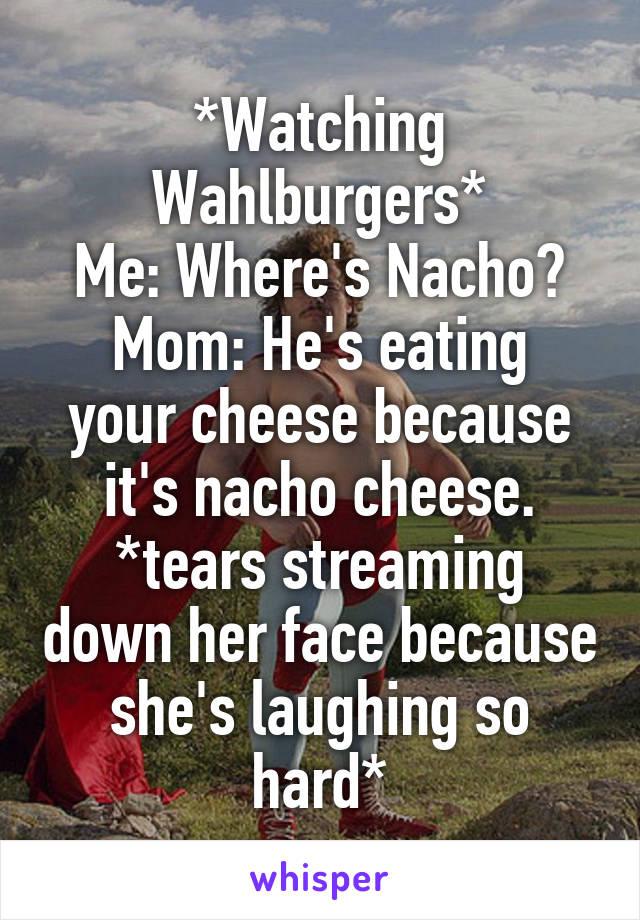 *Watching Wahlburgers*
Me: Where's Nacho?
Mom: He's eating your cheese because it's nacho cheese.
*tears streaming down her face because she's laughing so hard*