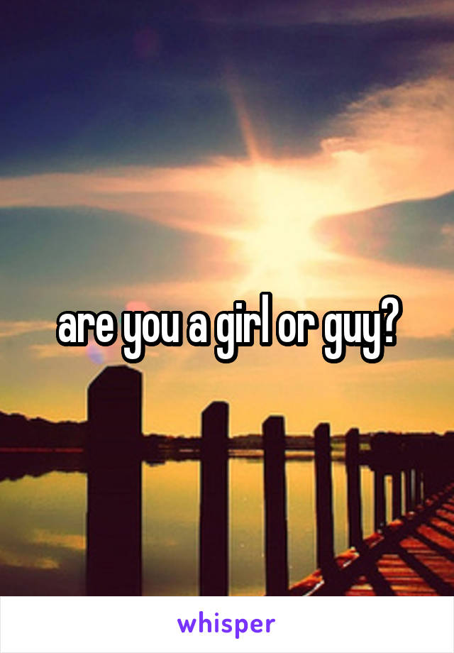 are you a girl or guy?