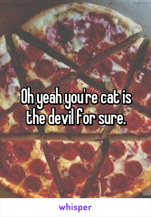 Oh yeah you're cat is the devil for sure.