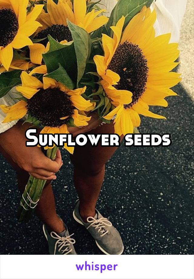 Sunflower seeds