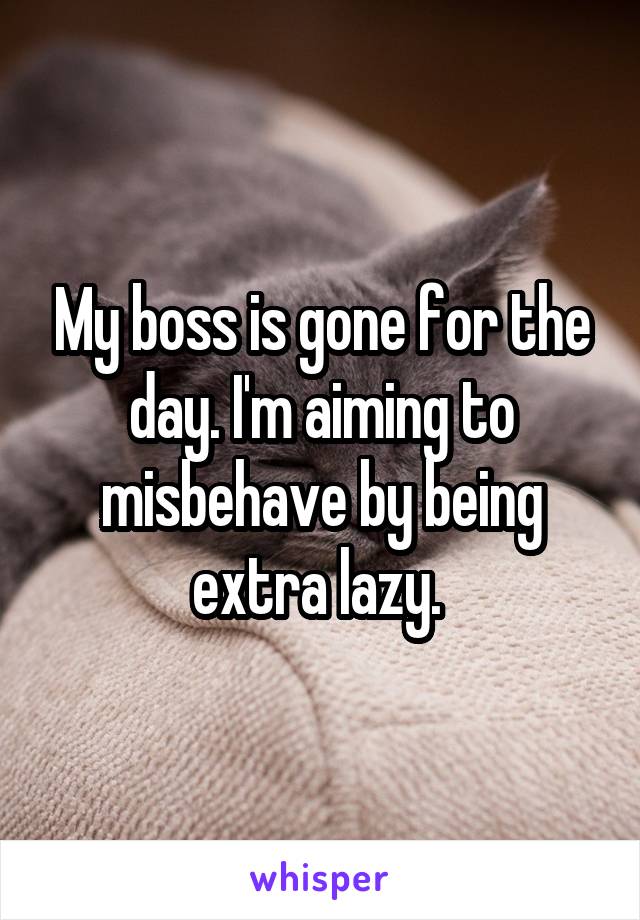 My boss is gone for the day. I'm aiming to misbehave by being extra lazy. 