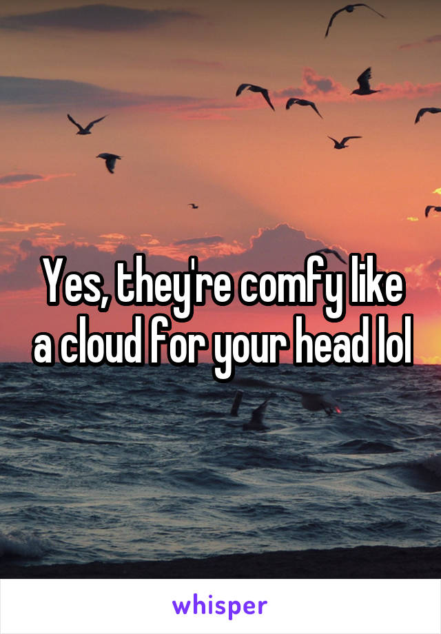 Yes, they're comfy like a cloud for your head lol