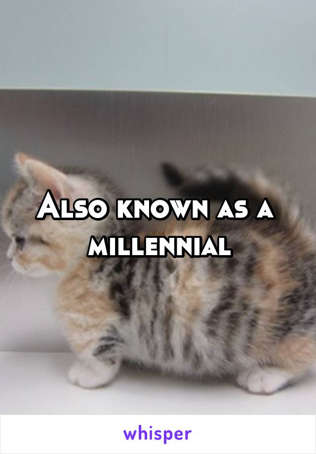 Also known as a  millennial