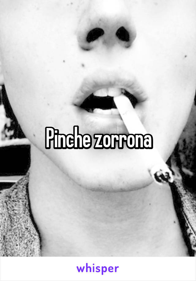 Pinche zorrona