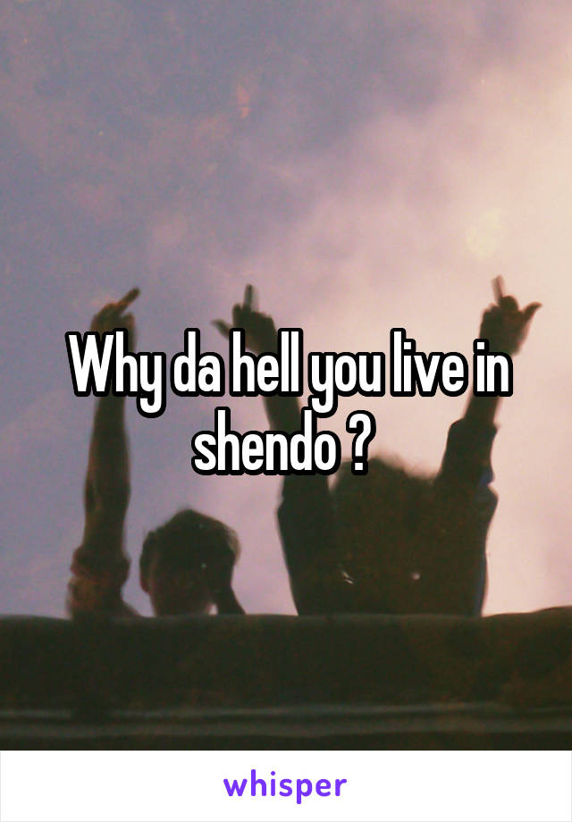 Why da hell you live in shendo ? 