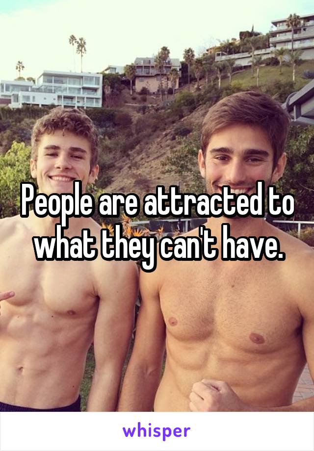 People are attracted to what they can't have.