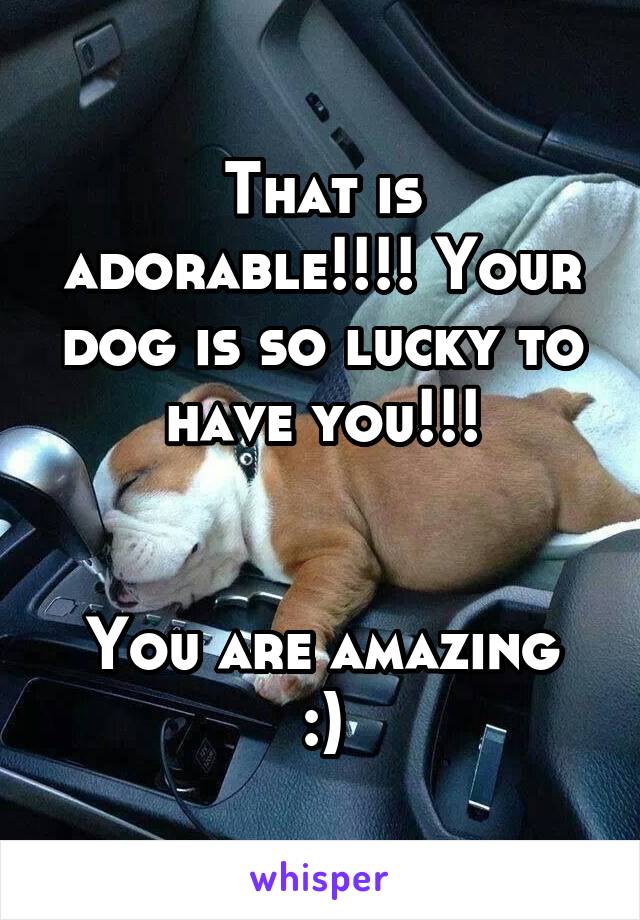 That is adorable!!!! Your dog is so lucky to have you!!!


You are amazing :)