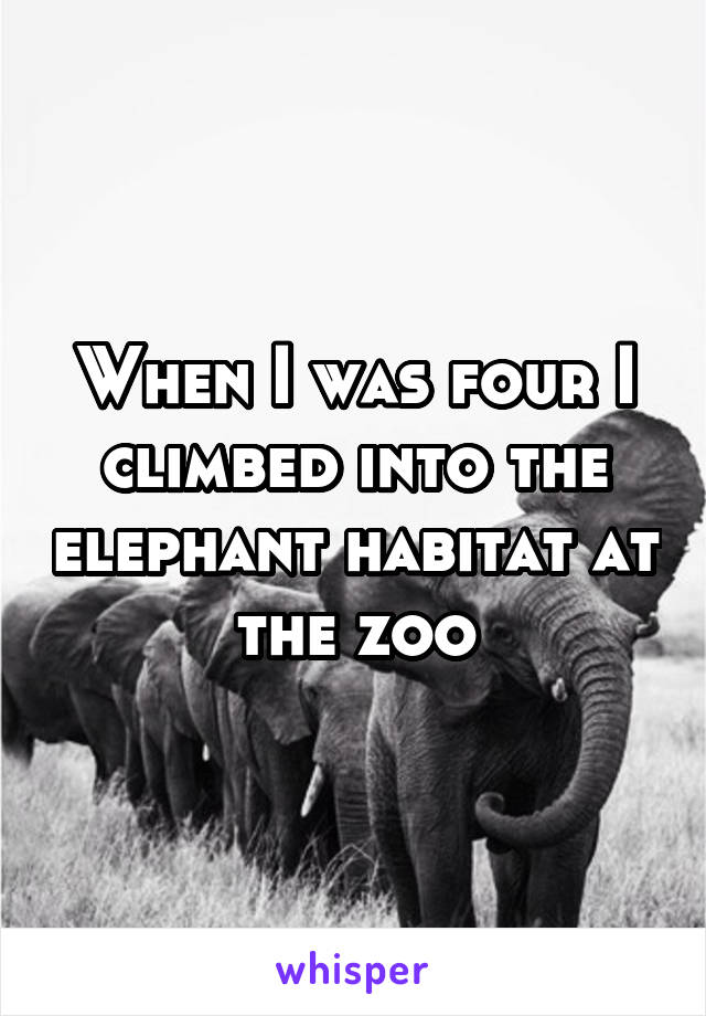 When I was four I climbed into the elephant habitat at the zoo