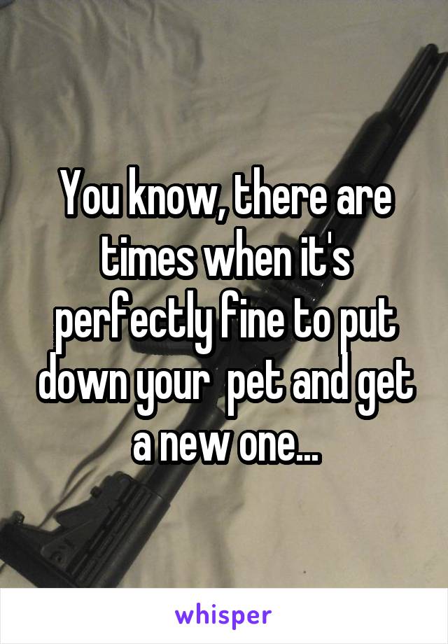 You know, there are times when it's perfectly fine to put down your  pet and get a new one...