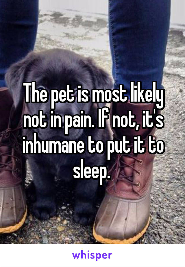 The pet is most likely not in pain. If not, it's inhumane to put it to sleep. 