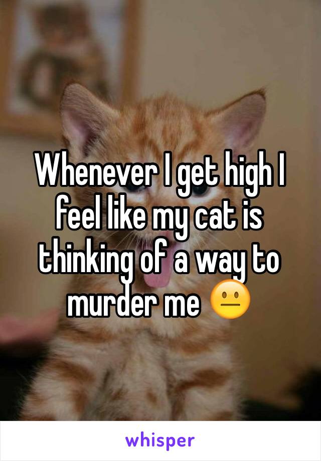 Whenever I get high I feel like my cat is thinking of a way to murder me 😐