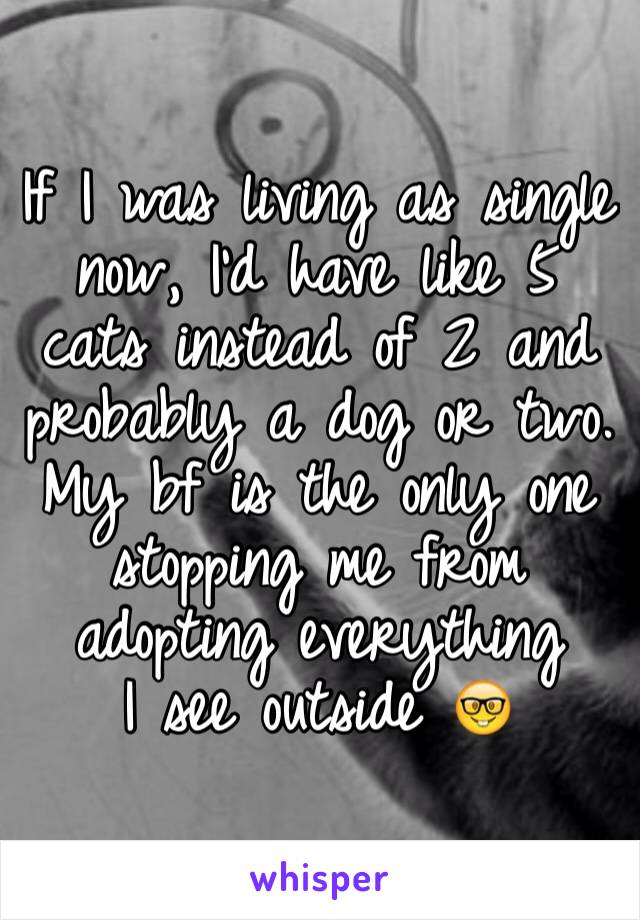 If I was living as single now, I'd have like 5 cats instead of 2 and probably a dog or two. My bf is the only one stopping me from adopting everything
I see outside 🤓