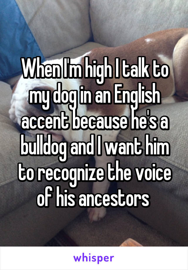 When I'm high I talk to my dog in an English accent because he's a bulldog and I want him to recognize the voice of his ancestors 