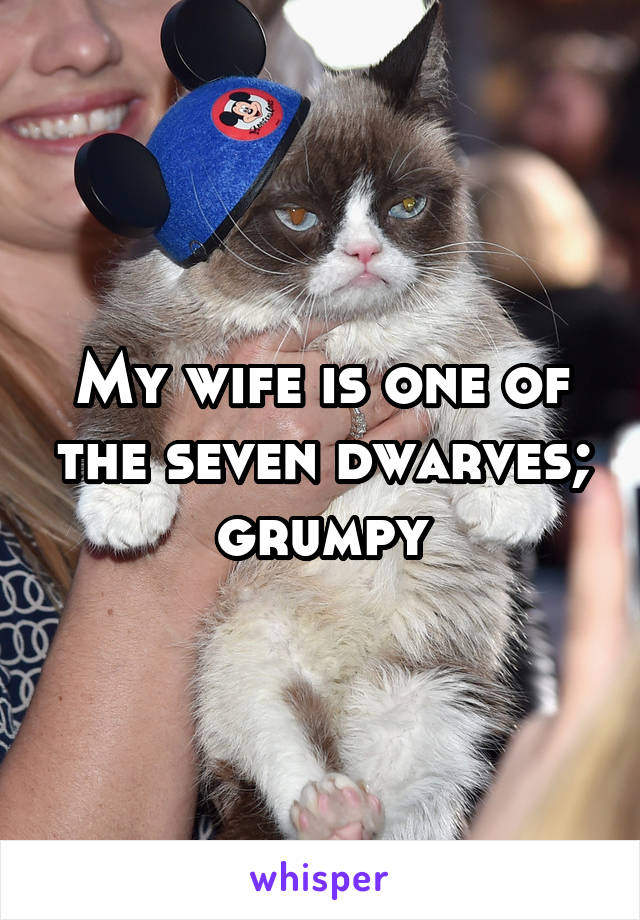 My wife is one of the seven dwarves; grumpy