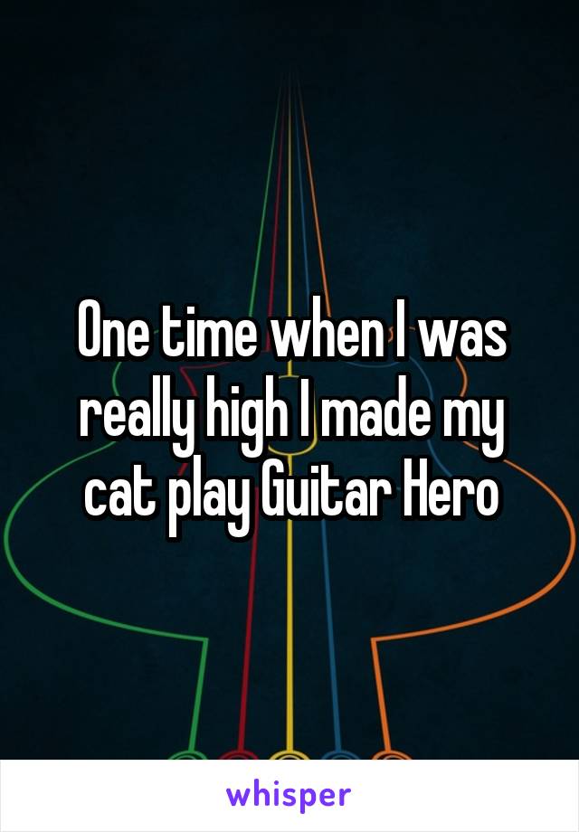 One time when I was really high I made my cat play Guitar Hero