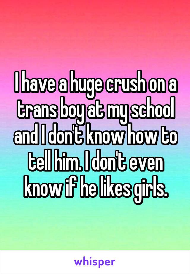 I have a huge crush on a trans boy at my school and I don't know how to tell him. I don't even know if he likes girls.