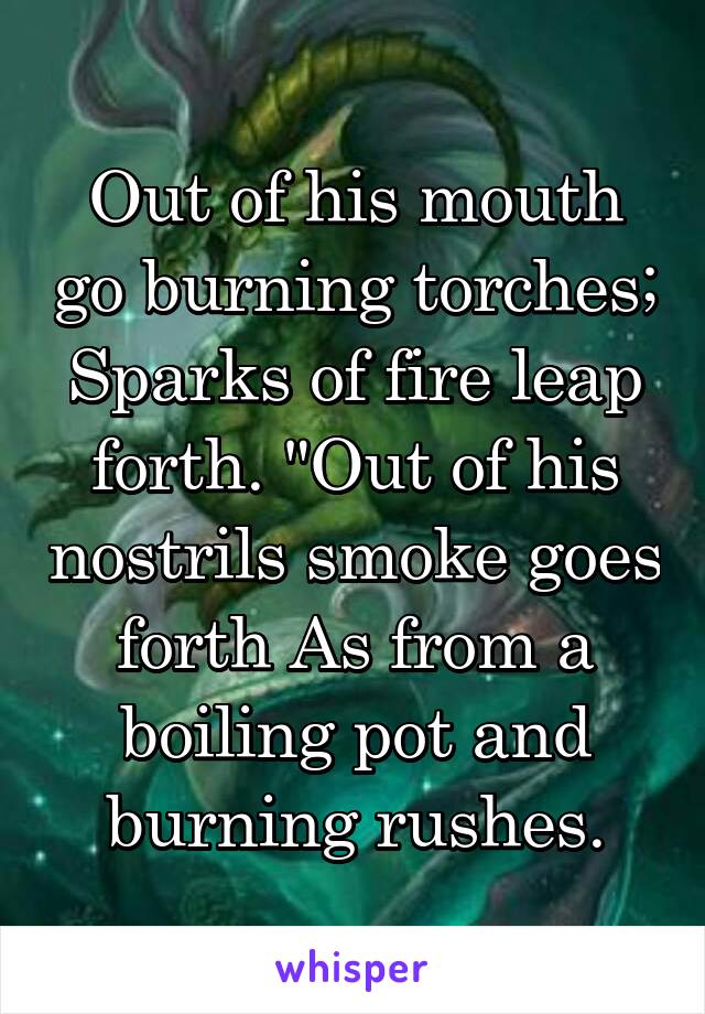 Out of his mouth go burning torches; Sparks of fire leap forth. "Out of his nostrils smoke goes forth As from a boiling pot and burning rushes.