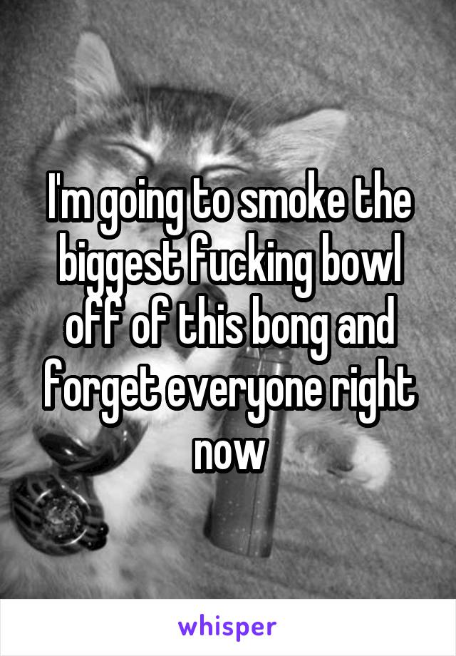 I'm going to smoke the biggest fucking bowl off of this bong and forget everyone right now