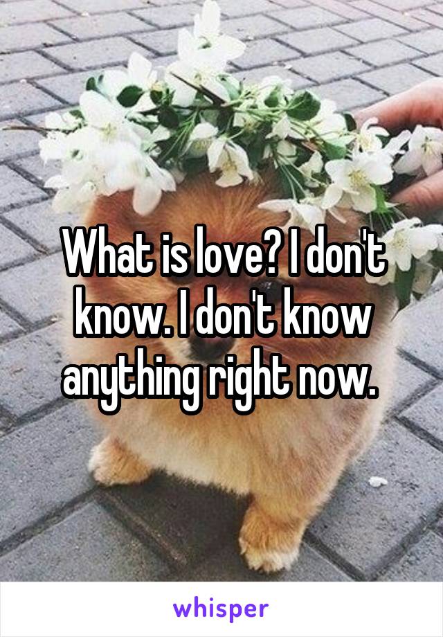 What is love? I don't know. I don't know anything right now. 