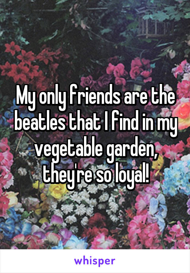 My only friends are the beatles that I find in my vegetable garden, they're so loyal!
