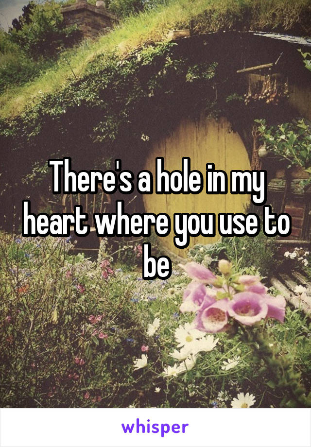 There's a hole in my heart where you use to be