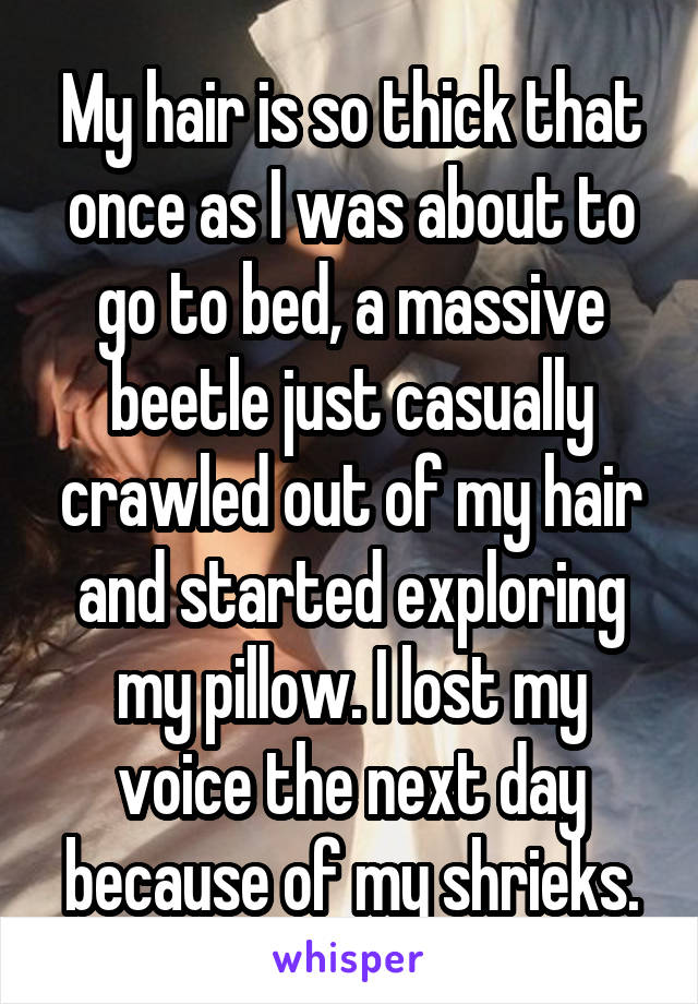 My hair is so thick that once as I was about to go to bed, a massive beetle just casually crawled out of my hair and started exploring my pillow. I lost my voice the next day because of my shrieks.