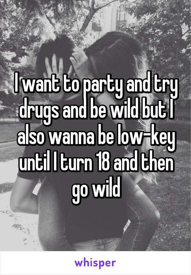 I want to party and try drugs and be wild but I also wanna be low-key until I turn 18 and then go wild