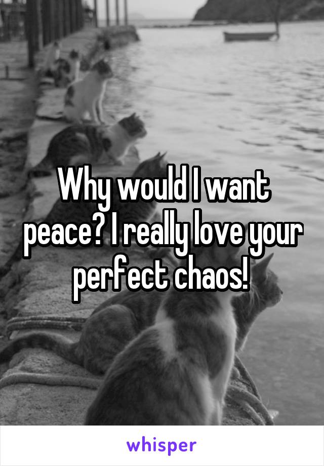 Why would I want peace? I really love your perfect chaos! 