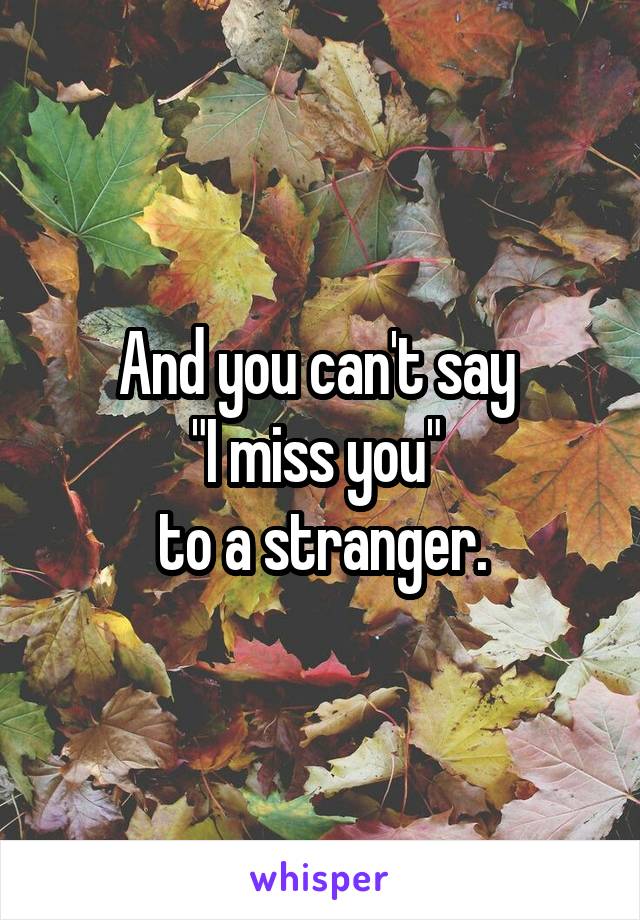 And you can't say 
"I miss you" 
to a stranger.