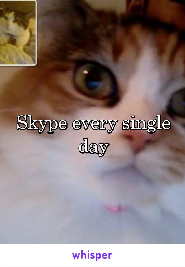 Skype every single day