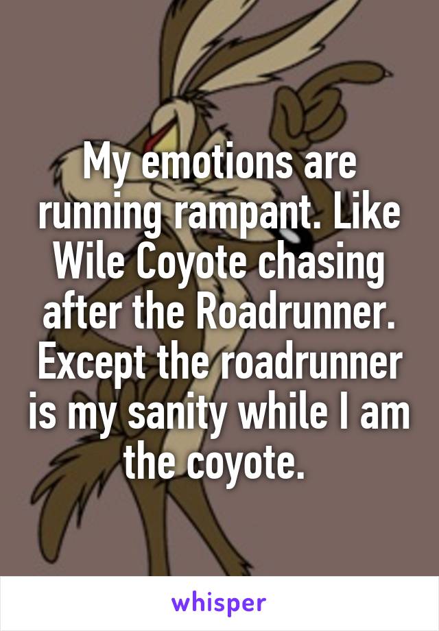 My emotions are running rampant. Like Wile Coyote chasing after the Roadrunner. Except the roadrunner is my sanity while I am the coyote. 