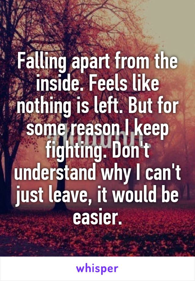 Falling apart from the inside. Feels like nothing is left. But for some reason I keep fighting. Don't understand why I can't just leave, it would be easier.