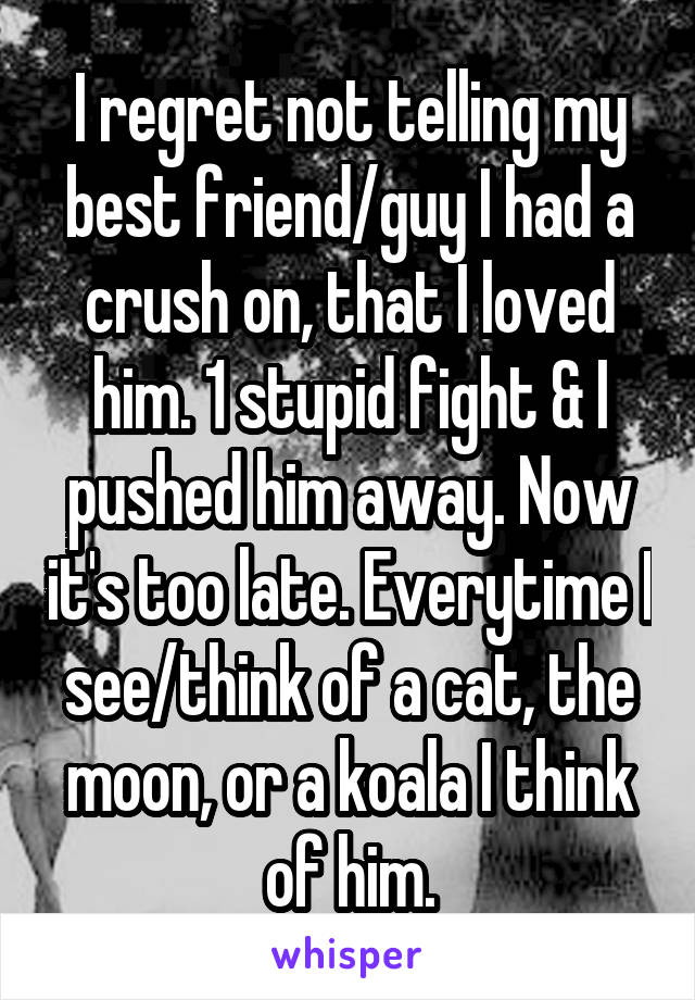 I regret not telling my best friend/guy I had a crush on, that I loved him. 1 stupid fight & I pushed him away. Now it's too late. Everytime I see/think of a cat, the moon, or a koala I think of him.