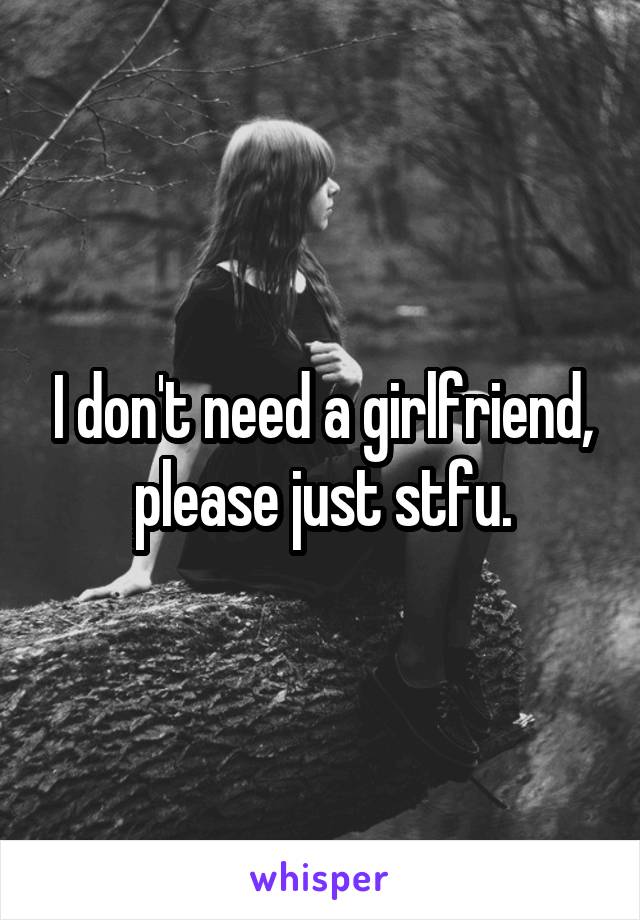 I don't need a girlfriend, please just stfu.