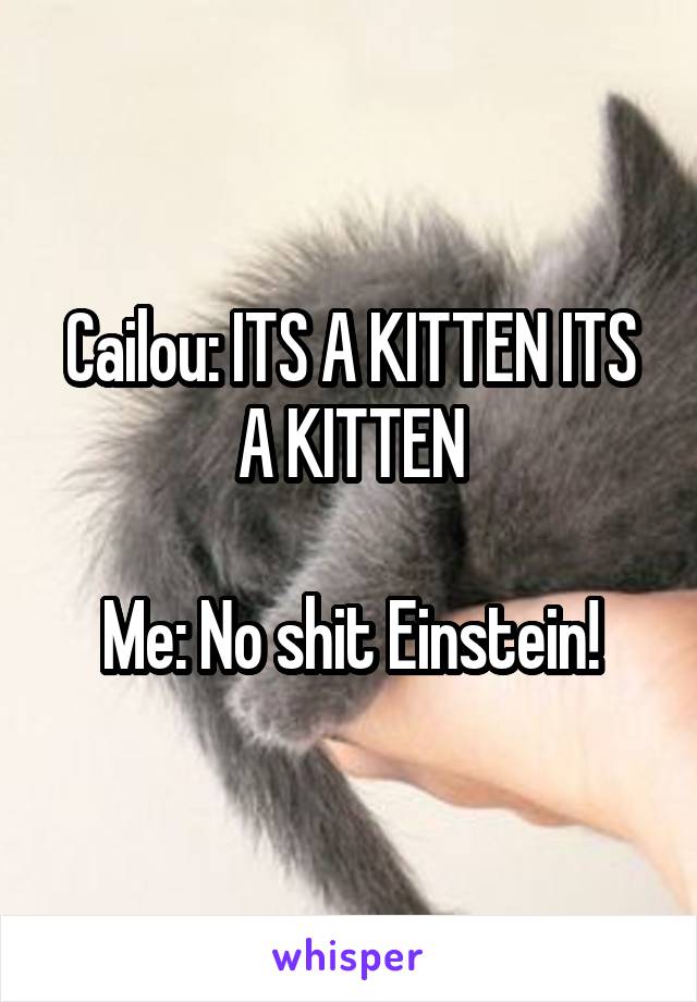 Cailou: ITS A KITTEN ITS A KITTEN

Me: No shit Einstein!