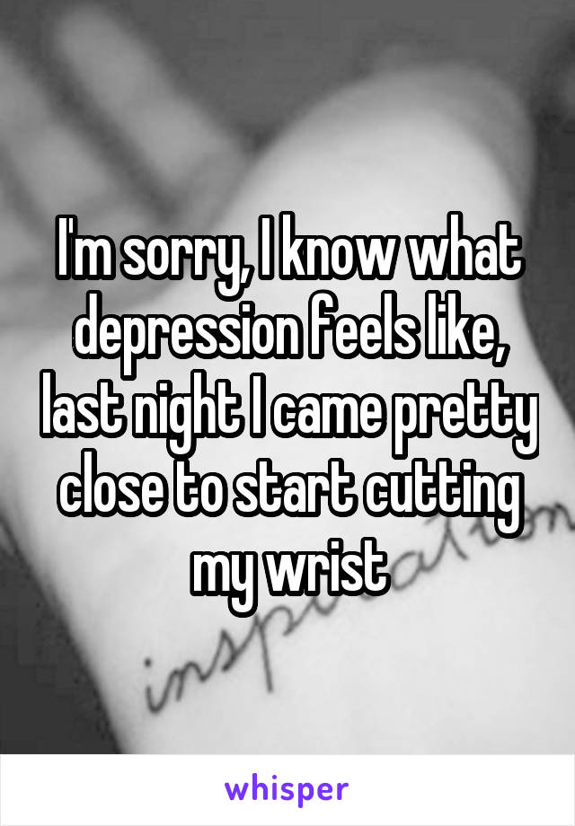 I'm sorry, I know what depression feels like, last night I came pretty close to start cutting my wrist