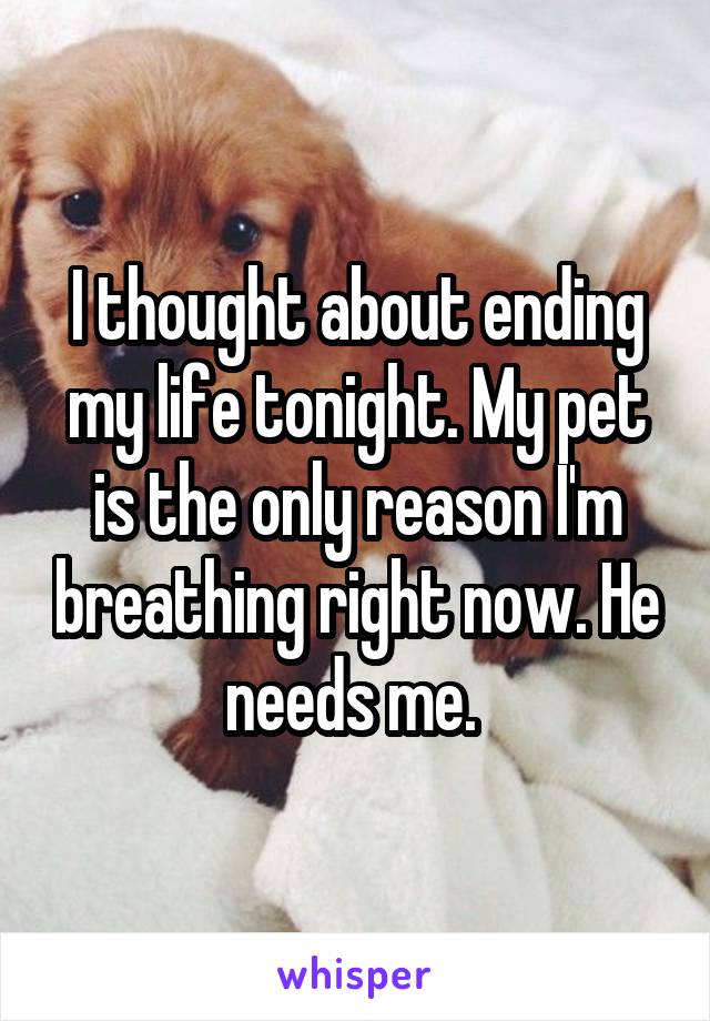 I thought about ending my life tonight. My pet is the only reason I'm breathing right now. He needs me. 