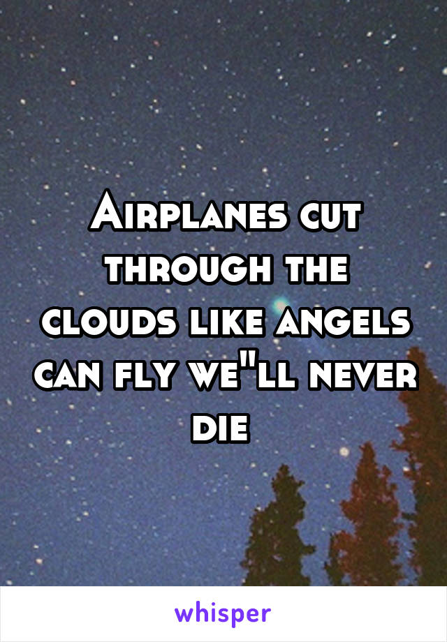 Airplanes cut through the clouds like angels can fly we"ll never die 