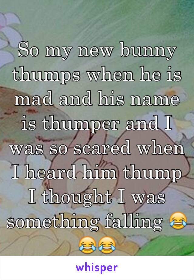 So my new bunny thumps when he is mad and his name is thumper and I was so scared when I heard him thump I thought I was something falling 😂😂😂