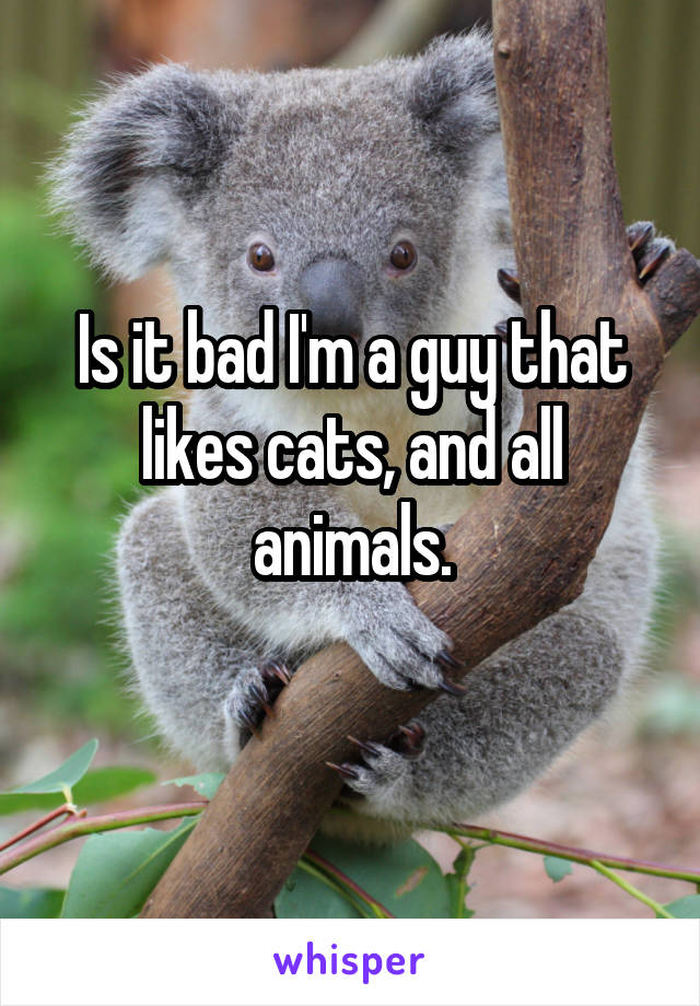 Is it bad I'm a guy that likes cats, and all animals.
